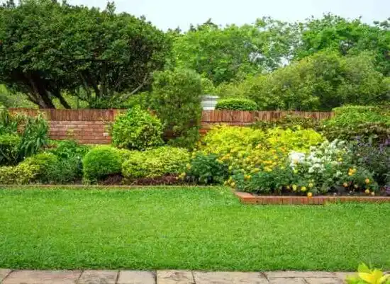 landscaping services East Bethel